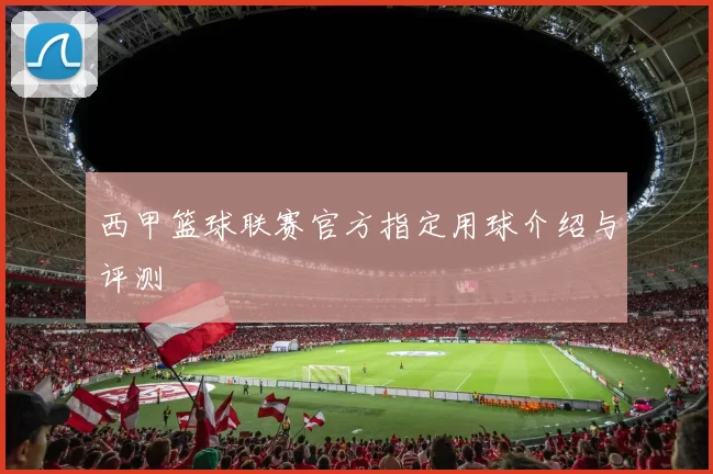 西甲篮球联赛官方指定用球介绍与评测