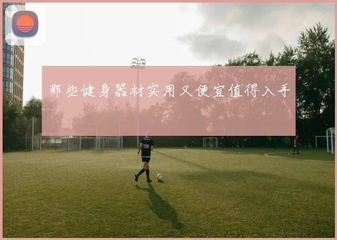 那些健身器材实用又便宜值得入手