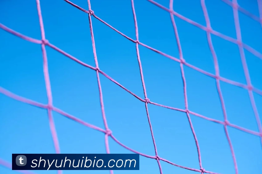 hth华体网站服务体系